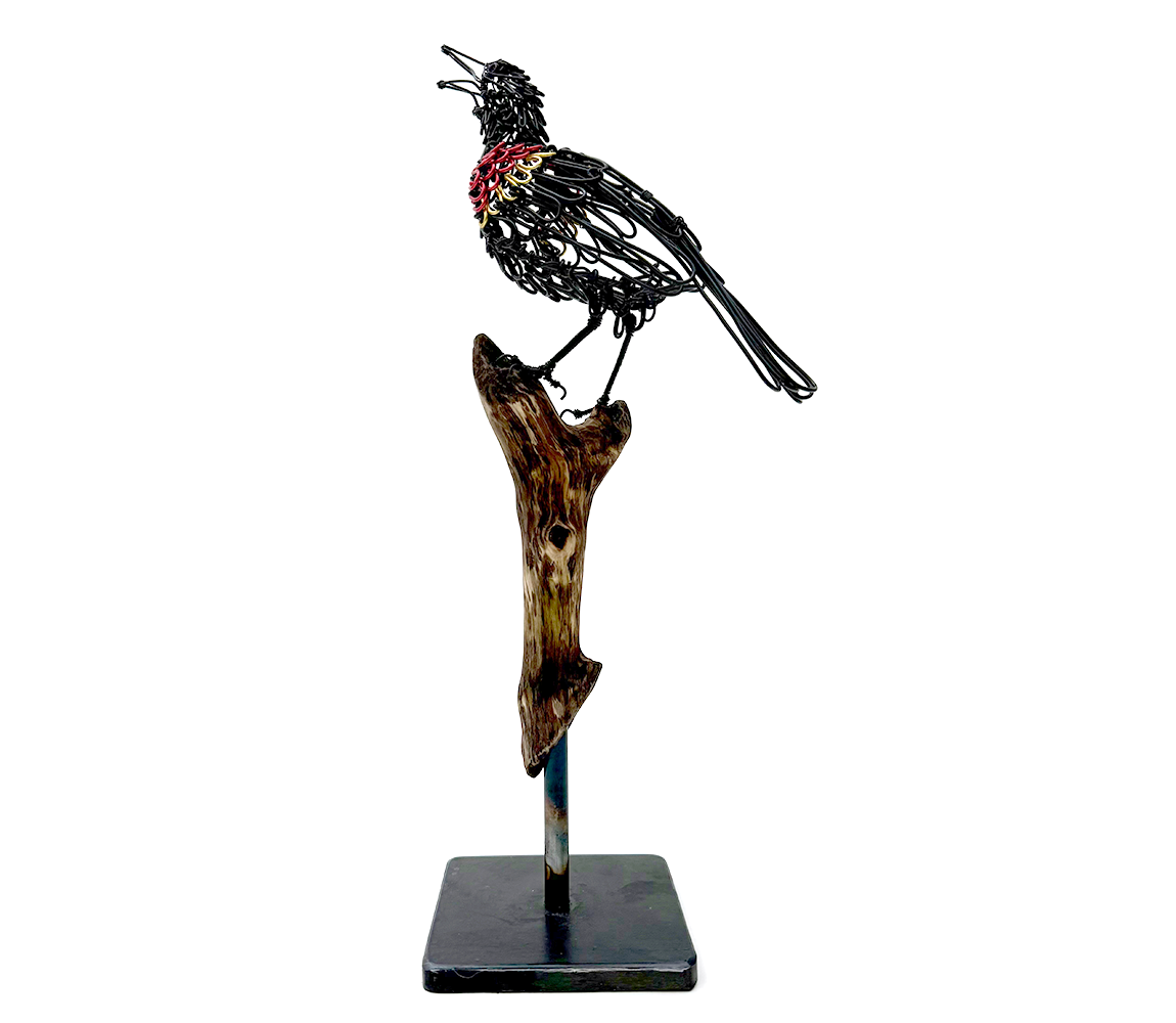 "Red-Winged Blackbird" - Colleen Cotey